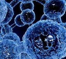 Vignette illustrant cette actualité