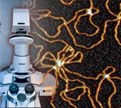 Vignette illustrant cette actualité