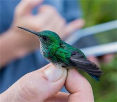 Vignette illustrant cette actualité