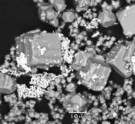 Vignette illustrant cette actualité