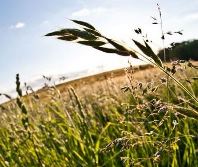 Vignette illustrant cette actualité