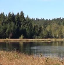 Vignette illustrant cette actualité