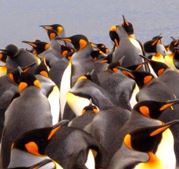 Vignette illustrant cette actualité