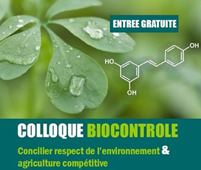 Vignette illustrant cette actualité