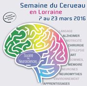 Vignette illustrant cette actualité