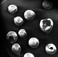 Vignette illustrant cette actualité