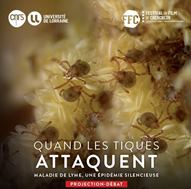 Vignette illustrant cette actualité