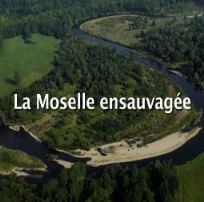 Vignette illustrant cette actualité