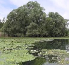 Vignette illustrant cette actualité