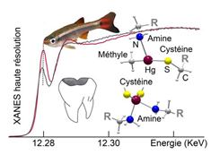 Vignette illustrant cette actualité