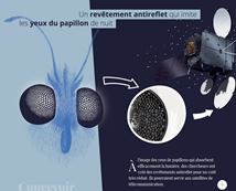 Vignette illustrant cette actualité