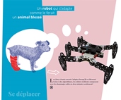 Vignette illustrant cette actualité