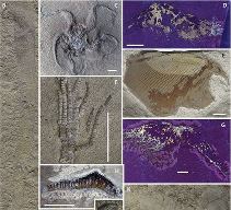 Vignette illustrant cette actualité