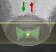 Vignette illustrant cette actualité