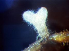 Vignette illustrant cette actualité