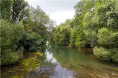 Vignette illustrant cette actualité