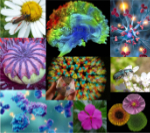 Vignette illustrant cette actualité