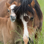 Image illustrant cette actualité