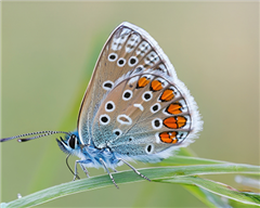 Vignette illustrant cette actualité