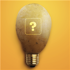 Image illustrant cette actualité