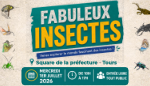 Vignette illustrant cette actualité