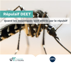 Vignette illustrant cette actualité