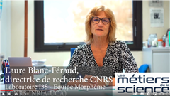 Vignette illustrant cette actualité