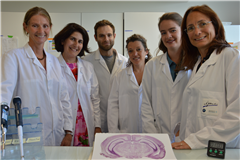 Vignette illustrant cette actualité