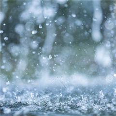 Vignette illustrant cette actualité