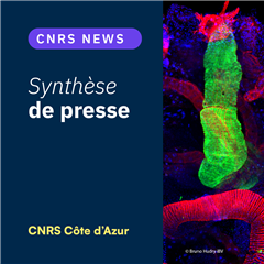 Vignette illustrant cette actualité