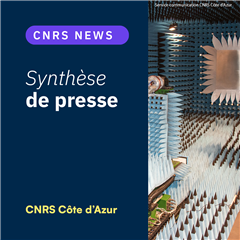 Vignette illustrant cette actualité