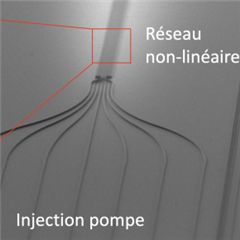 Vignette illustrant cette actualité