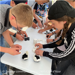 Vignette illustrant cette actualité