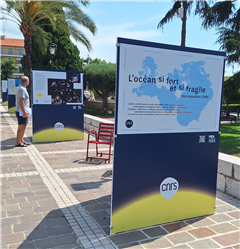 Vignette illustrant cette actualité