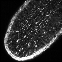 Vignette illustrant cette actualité