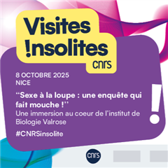 Vignette illustrant cette actualité