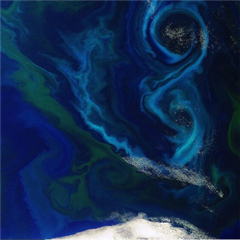 Vignette illustrant cette actualité