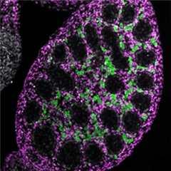 Vignette illustrant cette actualité