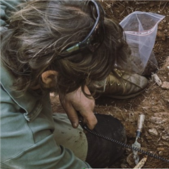 Vignette illustrant cette actualité