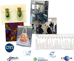 Vignette illustrant cette actualité