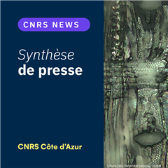 Vignette illustrant cette actualité