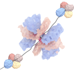 Vignette illustrant cette actualité