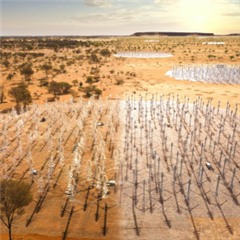 Vignette illustrant cette actualité