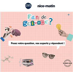 Vignette illustrant cette actualité