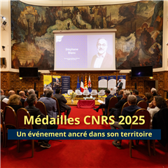 Image illustrant cette actualité