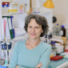 Vignette illustrant cette actualité