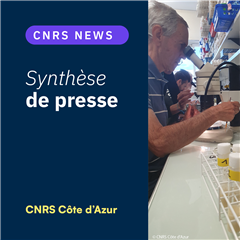 Vignette illustrant cette actualité