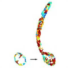 Image illustrant cette actualité