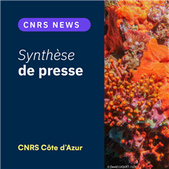 Image illustrant cette actualité