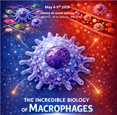 Vignette illustrant cette actualité
